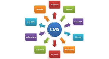 Content Management Systems in Mumbai